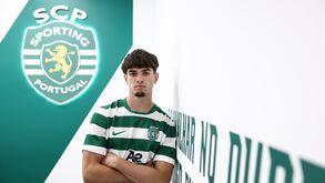 Martim Ribeiro de leão ao peito