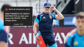 Luis de la Fuente viu o treino ser suspenso