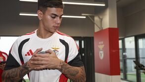 Enzo Barrenechea