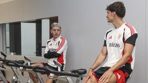 As primeiras imagens do regresso aos trabalhos do Benfica