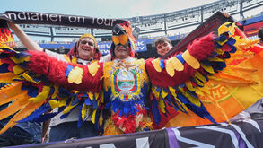 Condor equatoriano voa alto