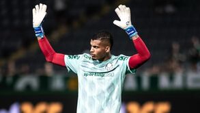 Aranha milita no Palmeiras