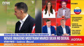Vítor Pinto: «Rui Costa não tem de chegar às sete da manhã. Marco Silva é que 'não tem palha na cama'»