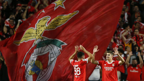 Gonçalo Ramos destaca "estaleca" de António Silva: «Está preparado para ser capitão do Benfica»
