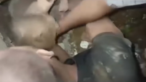 Momento emocionante mostra resgate de bebé preso nos destroços de edifício após sismos na Venezuela