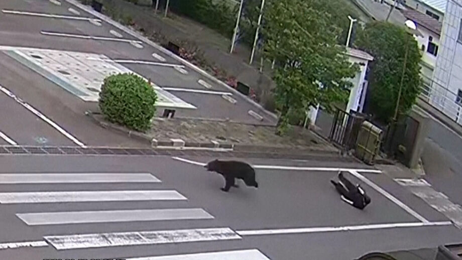 Situação aconteceu em zona residencial em Fukushima