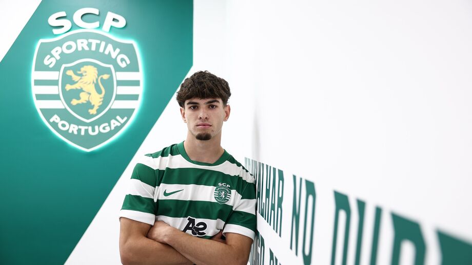 Martim Ribeiro de leão ao peito