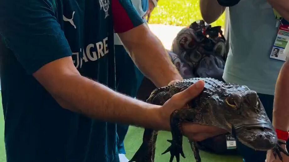 Momento de boa disposição