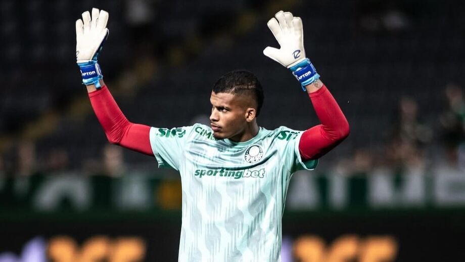 Aranha milita no Palmeiras