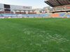 FC Porto indignado com relvado do Cidade de Coimbra
