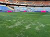 FC Porto indignado com relvado do Cidade de Coimbra