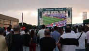 'Fan Zone Betano Medialivre' de Gaia