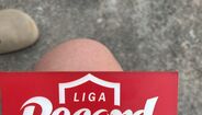 Champions League Nisa