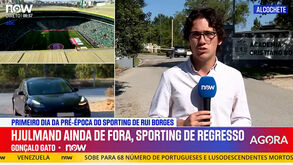 As imagens do regresso do Sporting ao trabalho... sem o capitão Hjulmand  