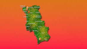 Que incêndios estão ativos em Portugal? Este é o ponto de situação