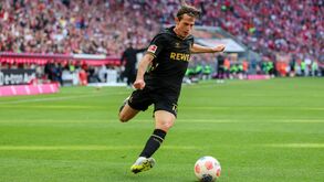 Kaminski joga no Colónia 