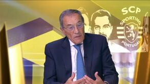 Carlos Barbosa da Cruz: «Benfica colocou demasiada pressão em António Silva»