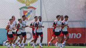 Benfica prestes a fazer o primeiro jogo oficial