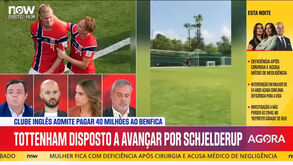 Rafael Soares: «40 milhões por Schjelderup é manifestamente curto, Benfica devia segurá-lo»