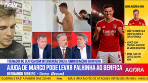 Bernardo Ribeiro: «Com calma e alguma inteligência, o Benfica pode conseguir a contratação de João Palhinha»