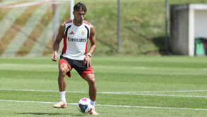 Amar Dedic a treinar no Benfica Campus
