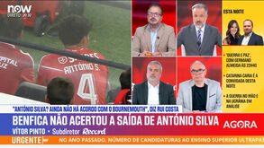 «António Silva tem boa solução jogue no Benfica, Bournemouth ou Carcavelinhos: se não cometer erros... ninguém o vai criticar»