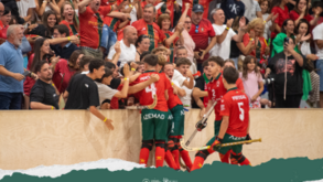 Seleção sub-17