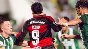 Flamengo de Leonardo Jardim goleia Chapecoense no regresso ao Brasileirão, com Pedro em destaque