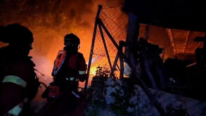 Espanha declara emergência nacional devido aos incêndios florestais em Madrid e Ávila