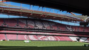 Estádio da Luz