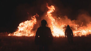 Incêndios em Espanha obrigam à retirada de 60 mil pessoas e mobilizam centenas de bombeiros