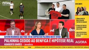 «Acho que Palhinha está um pouco desiludido com o Sporting porque ficou com a expectativa de voltar com protagonismo»