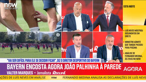 «Benfica torna-se muito mais apetecível para Palhinha com Marco Silva como treinador»