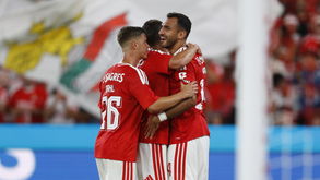 Pavlidis festeja mais um golo pelo Benfica frente ao St. Gallen