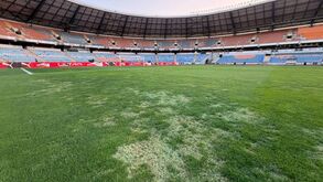 FC Porto indignado com relvado do Cidade de Coimbra