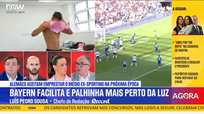 Possível ida de Palhinha para o Benfica: «Além da questão familiar e do treinador, há outros dois fatores que também pesam»
