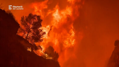 Incêndio devastador obriga à retirada de 15 mil pessoas na região espanhola de Valência