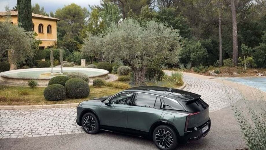 DS Nº 7