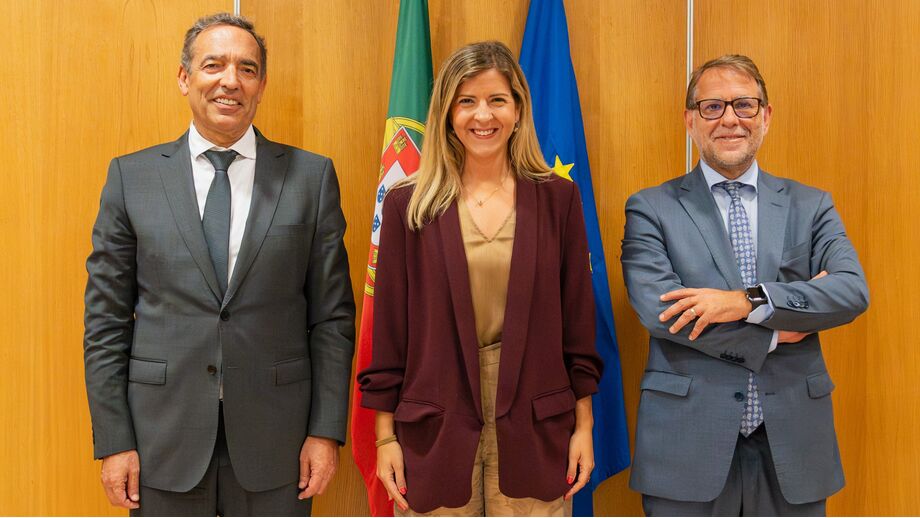 Reinaldo Teixeira reuniu-se com os ministros Margarida Balseiro Lopes e Luís Neves