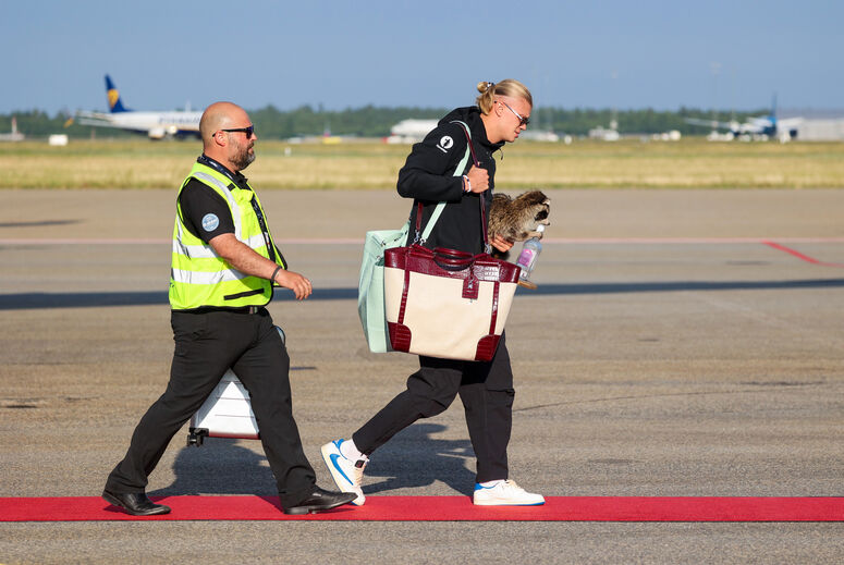 Haaland aterra na Noruega com guaxinim embalsamado