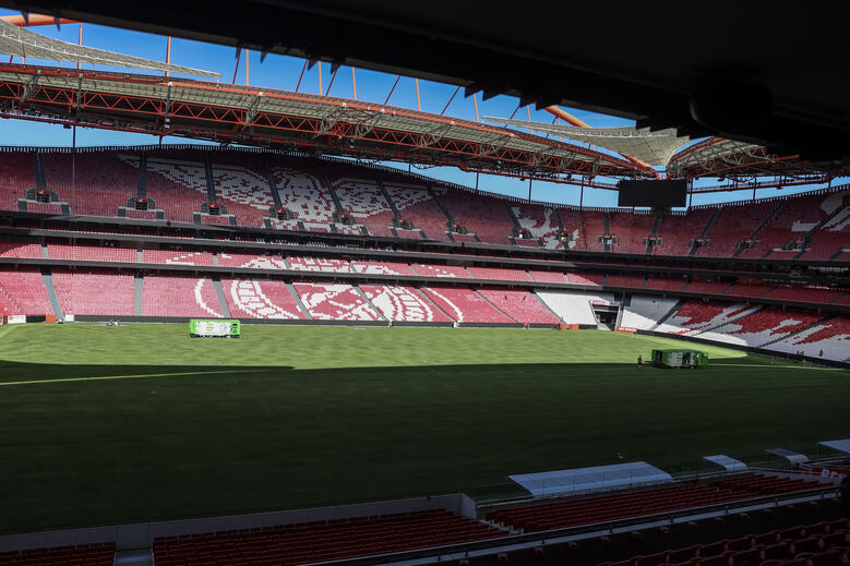 O relvado da Luz