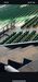 Obras no 'Lion's Corner' do Sporting prosseguem a bom ritmo