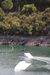 Wakeboarder salta em rampas de água durante campeonato na Sertã