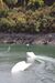 Wakeboarder em prova no Campeonato de Wakeboard Cable 2026 na Sertã