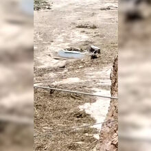 Video zeigt Überschwemmungen im Grand Canyon in den USA