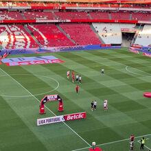 Der Moment, in dem João Palhinha den Fans zuwinkt, nachdem er den Rasen des Estádio da Luz betreten hat