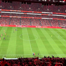 João Palhinha applaudito in piedi dai tifosi del Benfica al momento dell'esordio