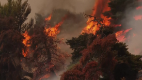 Incêndio de grandes dimensões continua a alastrar a oeste de Atenas e obriga a novas evacuações