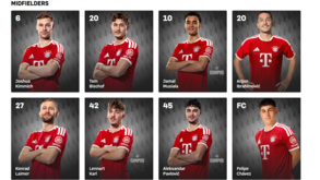 Palhinha ausente da lista de jogadores no site do clube