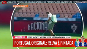 Relvado do Estádio Cidade de Coimbra foi 'pintado' de verde na manhã da Supertaça